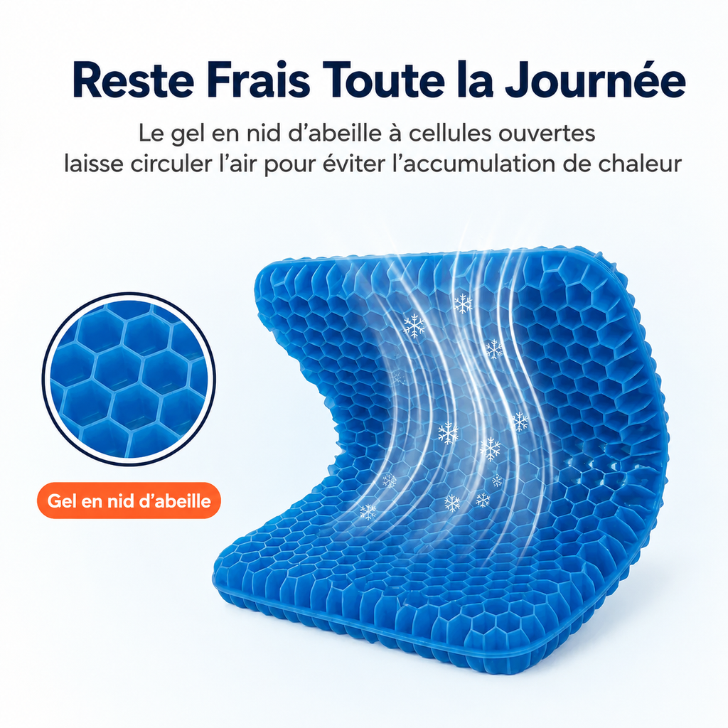Coussin d'Assise Anti Mal de Dos - Zenassi™